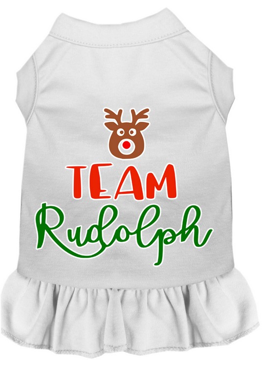 Team Rudolph Screen Print Dog Dress White XL